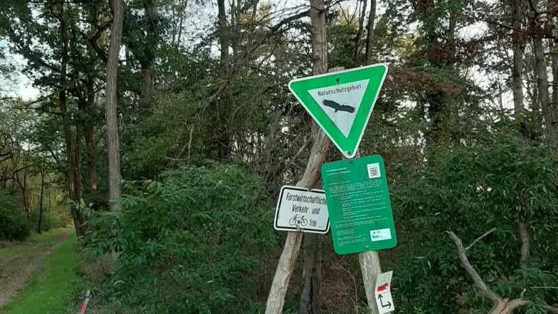 Braunshardter Tännchen bei Weiterstadt - LC3B6serbecken Weiterstadt 20200827 01