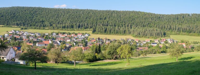 Blick auf Tuttlingen