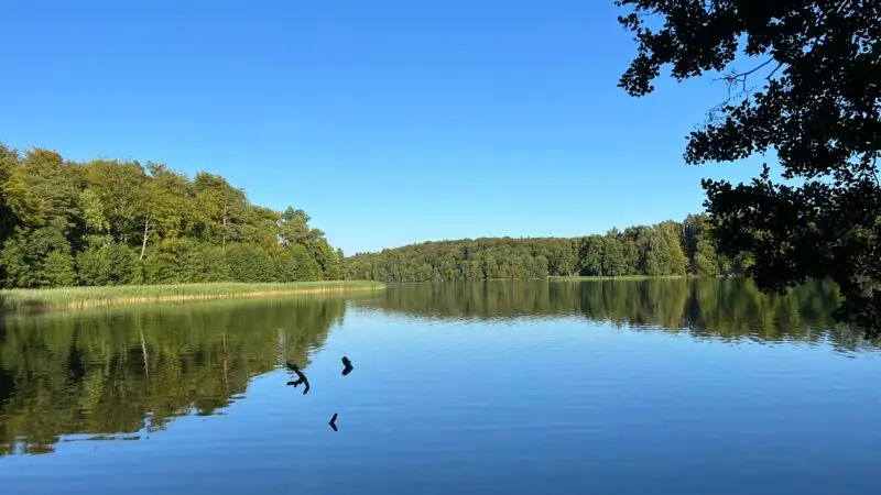 Liepnitzsee im Naturpark Barnim - Lanke Liepnitzsee lub 2023 08 11