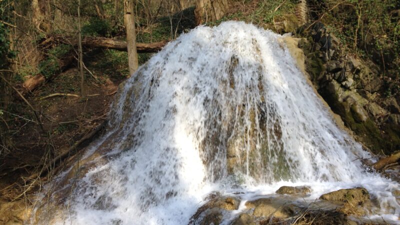 Neandertal & Eiszeitliches Wildgehege (Mettmann/Erkrath) - Laubach Wasserfall Neandertal 2014 03 08