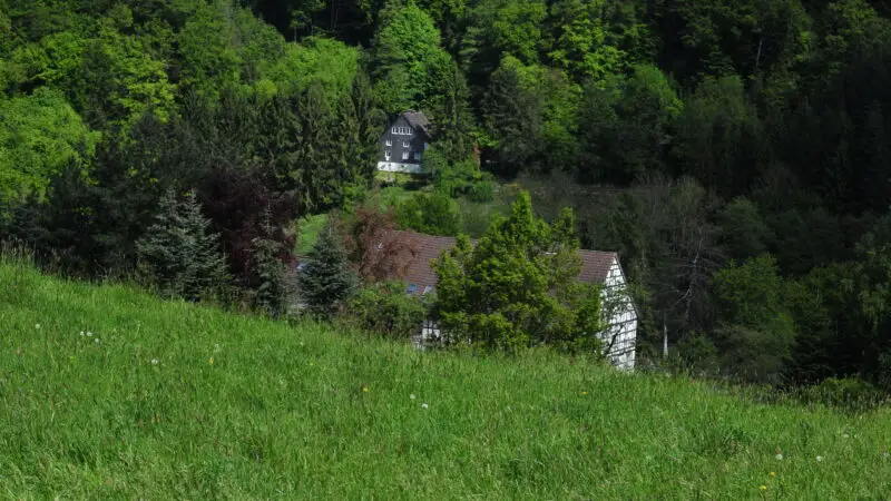 Elfringhauser Schweiz / Deilbachtal - Leben im Naturschutzgebiet Elfringhauser Schweiz