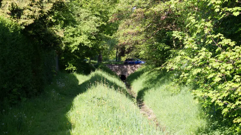 Birkholzer Heide (Birkholz / Mahlow Waldblick) - Lichtenrader Graben 20140503 81