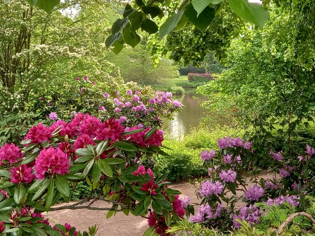 Stadtpark Lohne (Oldenburg)