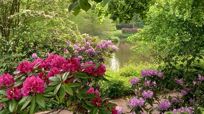 Stadtpark Lohne (Oldenburg) - Lohne Stadtpark 4