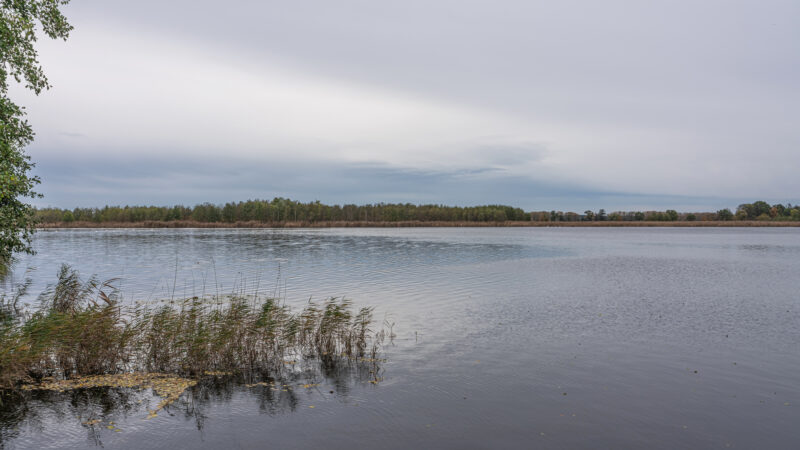 Naturpark Nuthe-Nieplitz (Rundwanderweg Gröbener See & Siethener See) - Ludwigsfelde GrC3B6bener See asv2023 11