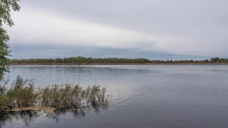 Naturpark Nuthe-Nieplitz (Rundwanderweg Gröbener See & Siethener See) - Ludwigsfelde GrC3B6bener See asv2023 11