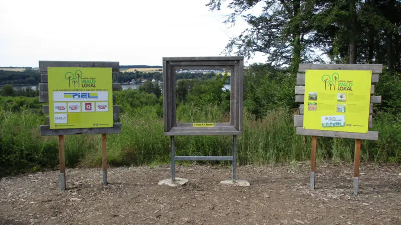 Naturpromenade am Hevearm / Möhnesee - MC3B6 KC3B6rbecke Aufforstungsprogramm