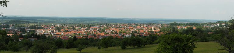 Blick auf Mössingen