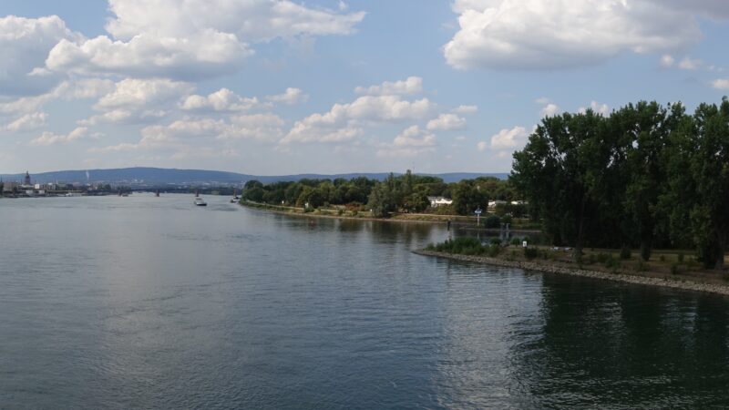 Mainspitze bei Ginsheim-Gustavsburg - Mainspitze Panorama