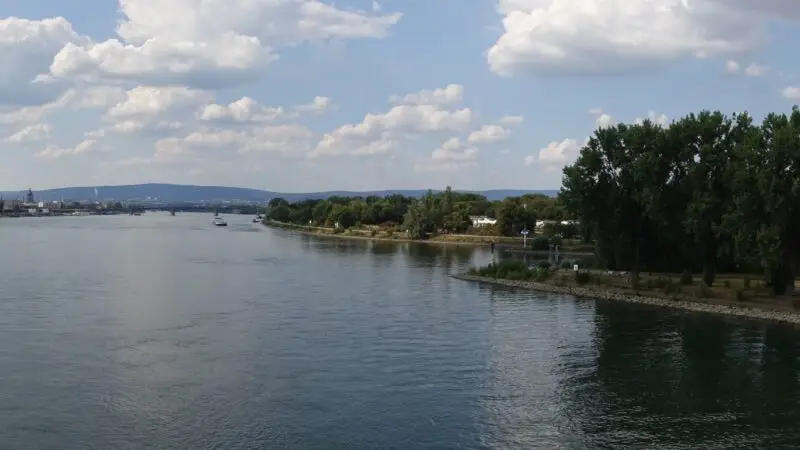 Mainspitze bei Ginsheim-Gustavsburg - Mainspitze Panorama