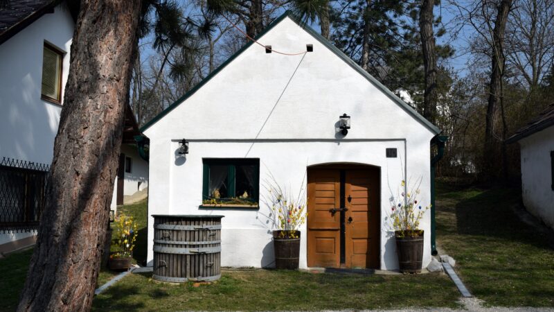 Rochusberg (Höhenpark Rochusberg)
