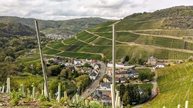 Rotweinwanderweg Ahrtal - Marienthal vom Rotweinwanderweg