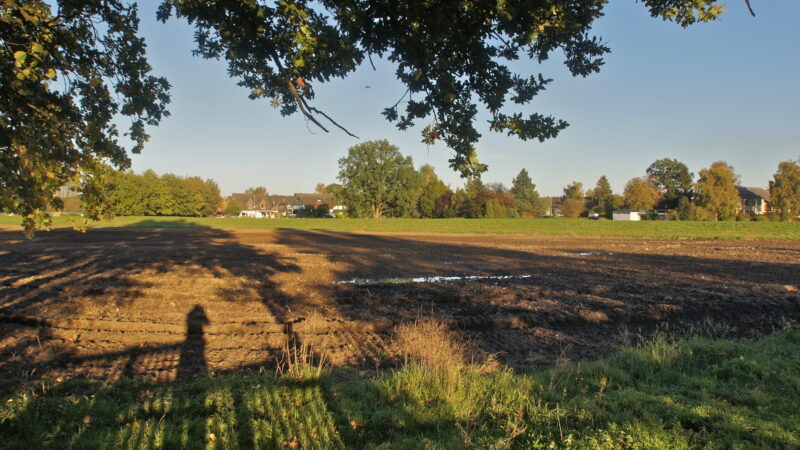 Hundewiese Hochzeitswald Maschen (Seevetal) - Maschen Panorama