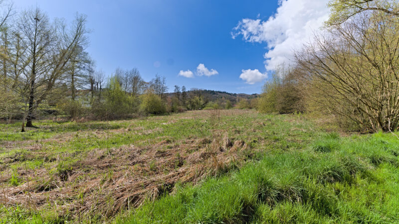 Gimbacher Hof (Kelkheim) - Meadow in Kelkheim 2023 04 14 01