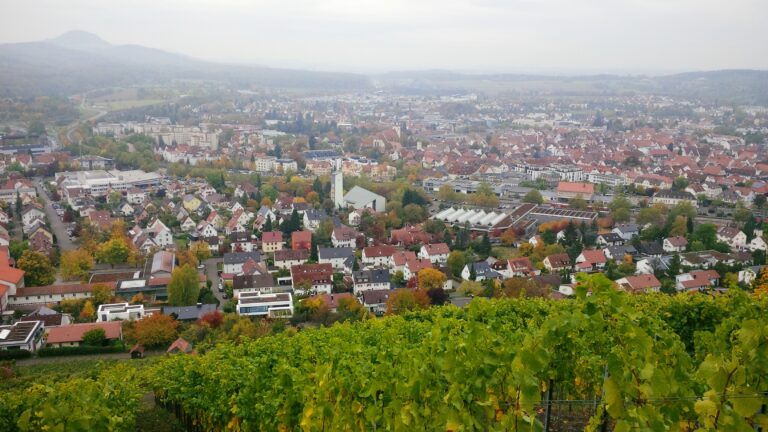 Blick auf Metzingen