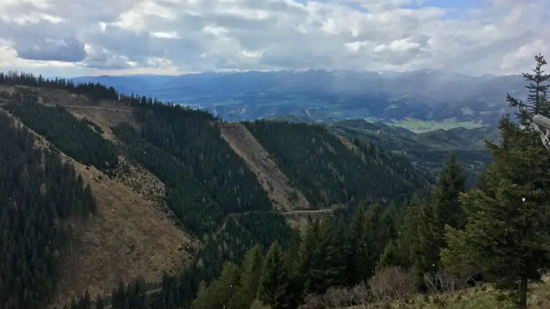 Erikablüte Hinterlobming (Wanderweg) - Mittelpunkt der Steiermark 3