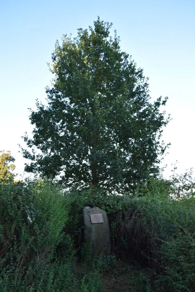 Fürstenweg (Rundwanderweg Neuwied / Schloss Monrepos)