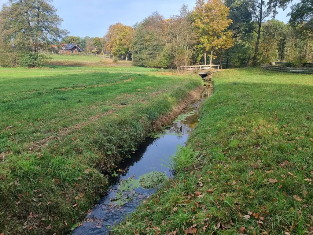 Stadtwald Eckernworth (Rundwanderweg RWW 1)