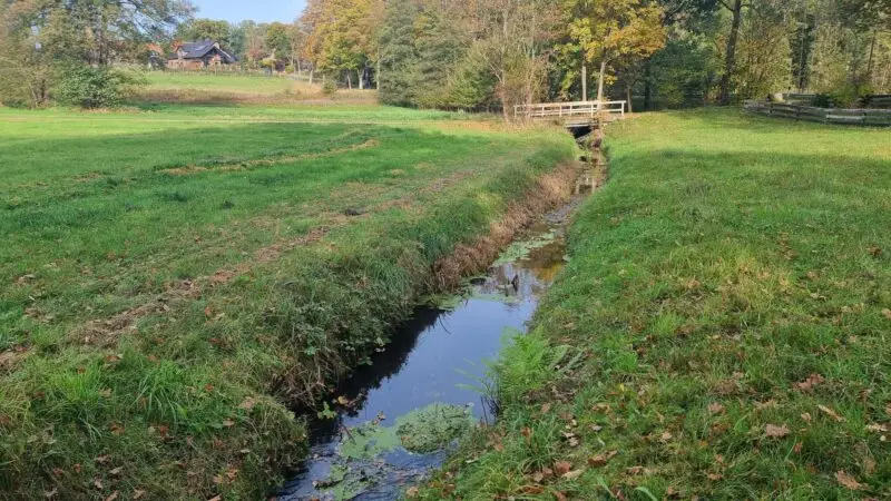 Stadtwald Eckernworth (Rundwanderweg RWW 1) - Moorgraben 28Fulde29