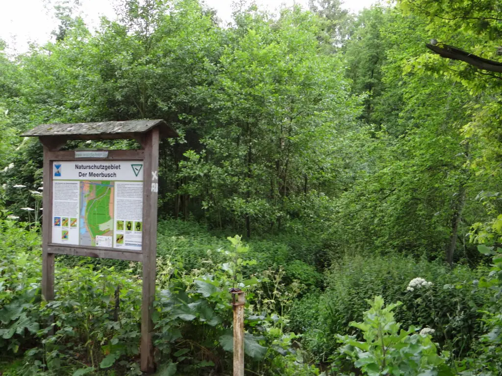 Naturschutzgebiet «Der Meerbusch» (Krefeld/Meerbusch, Rhein)