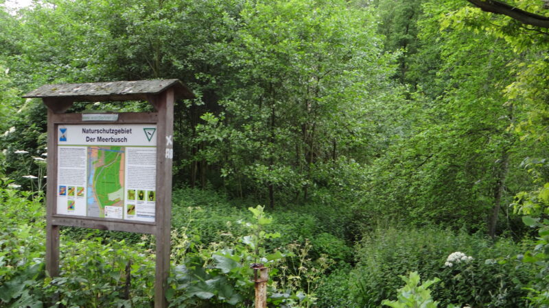 Naturschutzgebiet „Der Meerbusch" (Krefeld/Meerbusch, Rhein) - NSG Der Meerbusch 283029