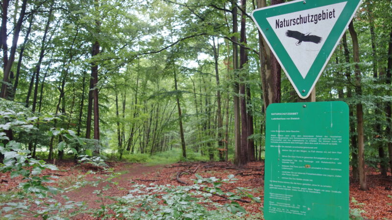 Luderbachaue Dreieich - NSG Luderbachaue von Dreieich01