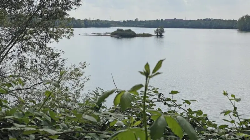Knipprather Wald (Rundweg am Baggersee Langenfeld) - NSG Monheimer Baggersee 281029