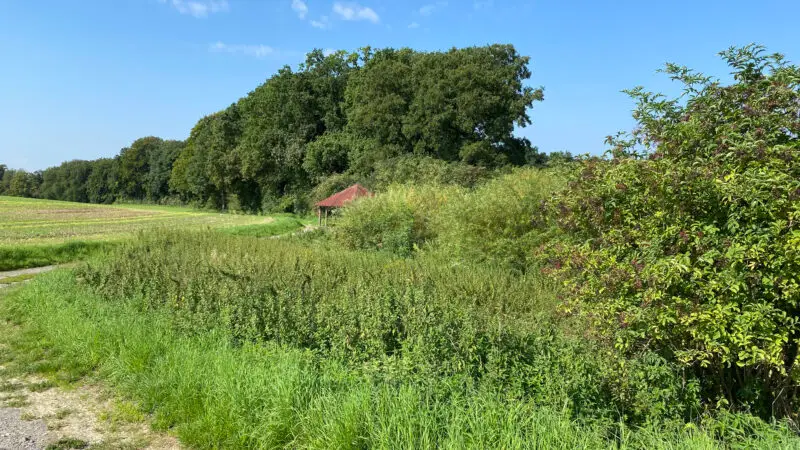 Stinderbachtal (Naturschutzgebiet) - NSG Stinderbachtal 2813229 oberes Talende bei NC3B6senberg