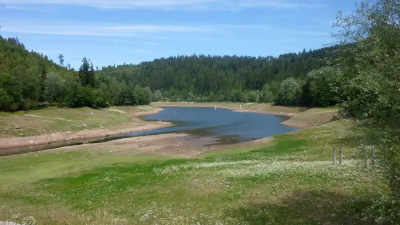 Nagoldtalsperre (Stausee, Seewald) - Nagold Stausee unterer Teil