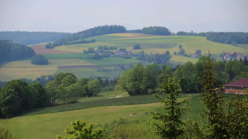 Wasserkuppe (Rhön, Poppenhausen) - Namenlose Kuppe bei Poppenhausen2C RhC3B6n