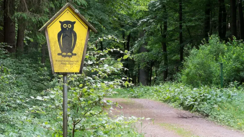 Biosphärenreservat Thüringer Wald / Vessertal - Nature reserve sign Vessertal 28middle area29 beside a street