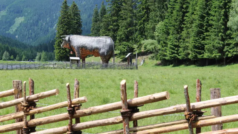 Teichalm / Teichalmsee (Naturpark Almenland) - Naturpark Almenland am Teichalmsee 22Almi22 28Almochse aus Holz29