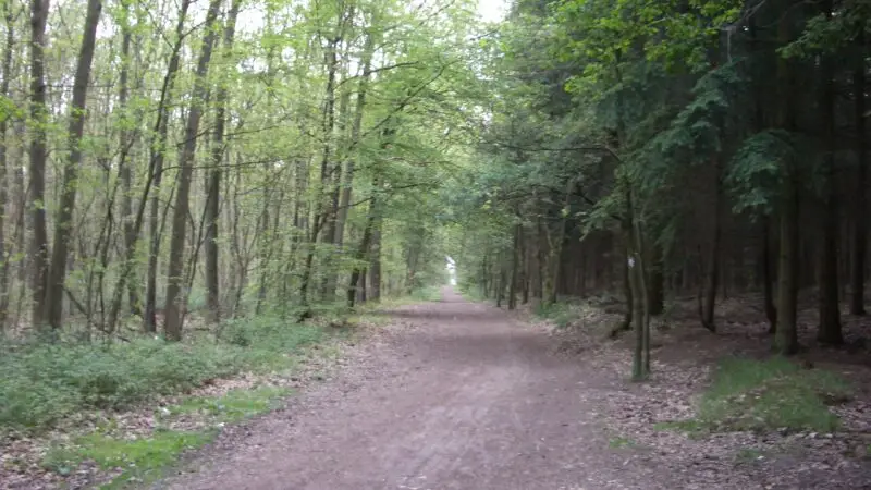 Halterner Stausee (im Naturpark Hohe Mark) - Naturpark Hohe Mark 2864160522529