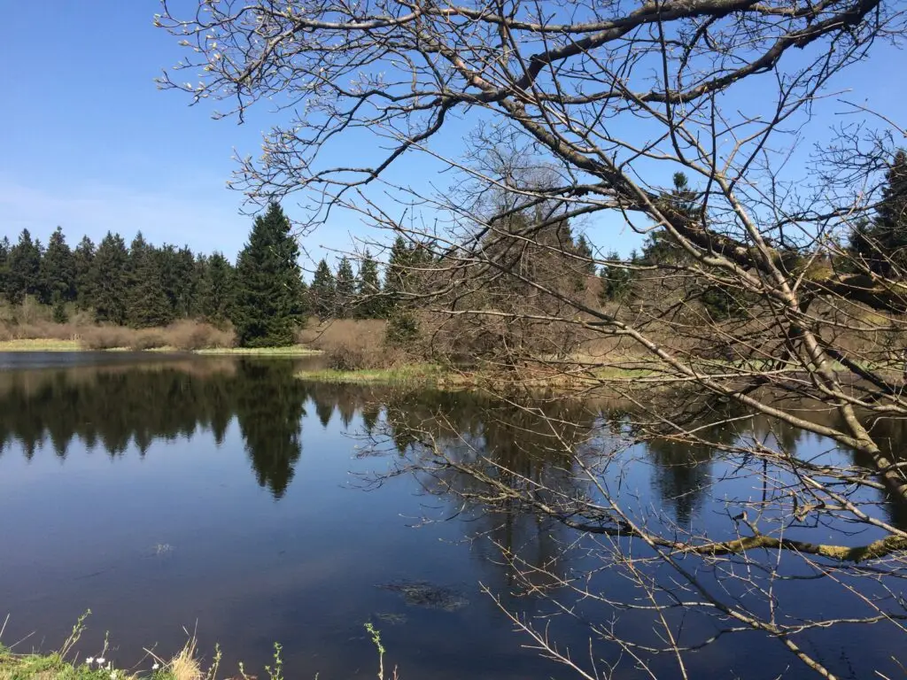 Naturpark Vulkanregion Vogelsberg