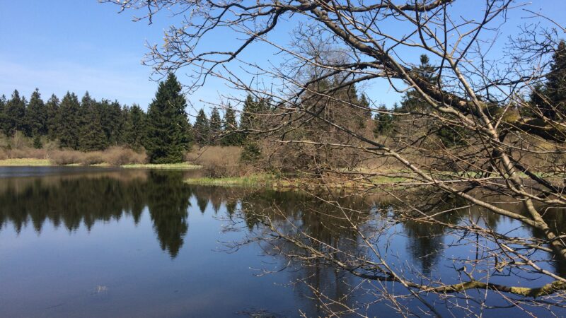 Naturpark Vulkanregion Vogelsberg - Naturpark Hoher Vogelsberg