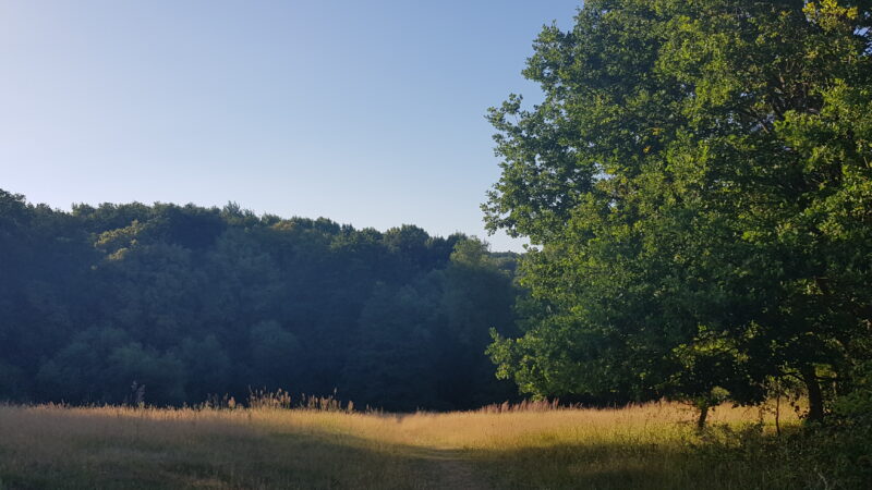 Naturschutzgebiet Dönche, Kassel - Naturschutzgebiet DC3B6nche Kassel