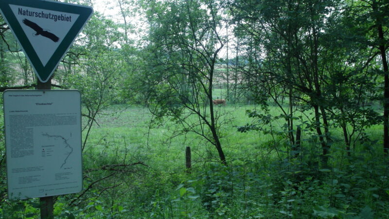 Naturschutzgebiet Elsebachtal - Naturschutzgebiet Elsebachtal