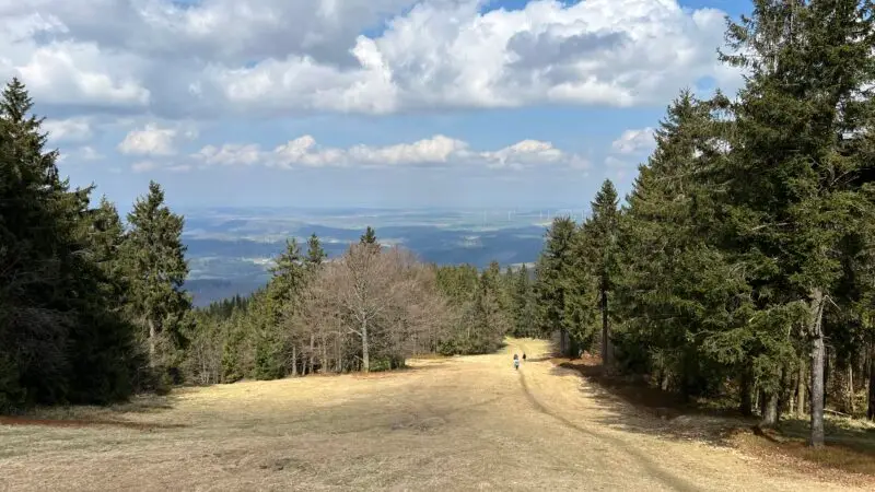 Großer Inselsberg - Naturschutzgebiet GroC39Fer Inselsberg lub 2025 04 14 img10