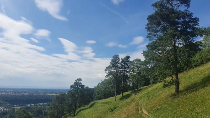Baggersee Untergrombach bei Bruchsal - Naturschutzgebiet Kaiserberg Bruchsal Untergrombach