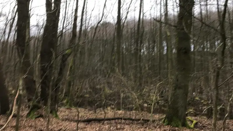 Naturschutzgebiet Sutschketal - Naturschutzgebiet Sutschketal 28129