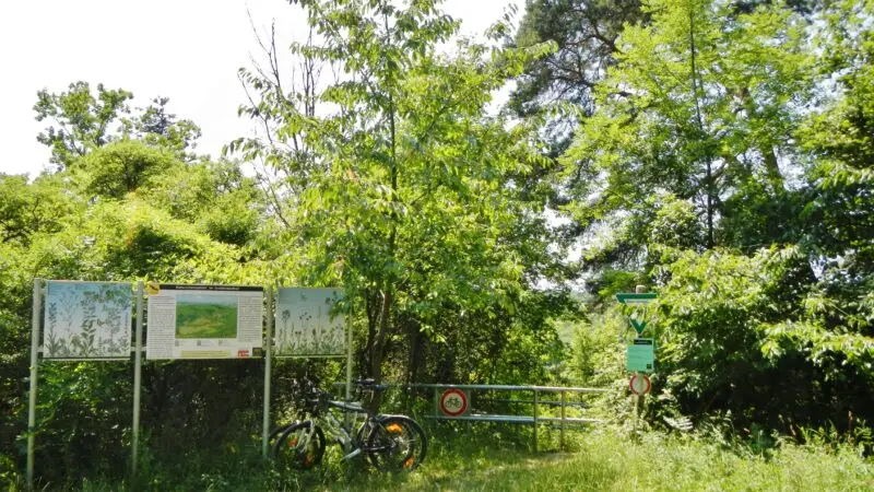 Naturschutzgebiet Leudelsbachtal (Rundwanderweg) - Naturschutzgebiet im Leudelsbachtal