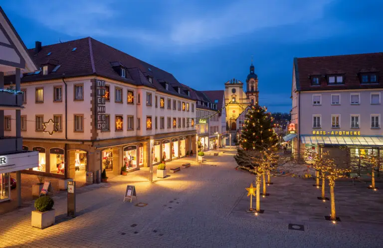 Blick auf Neckarsulm