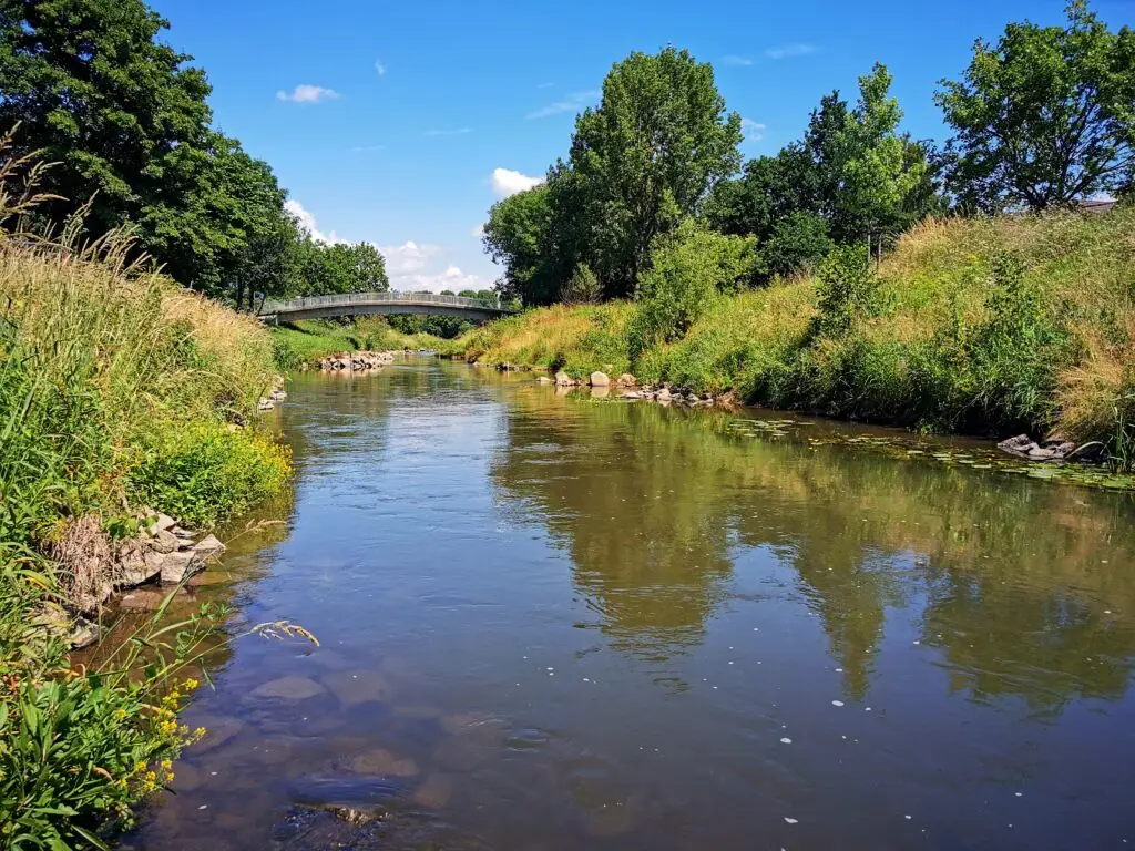 Hundewiese an der Nidda Karben