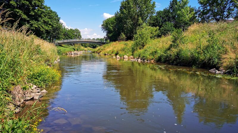 Hundewiese an der Nidda Karben - Nidda in Karben