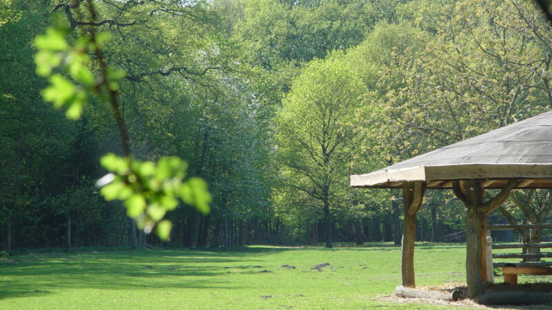 Niendorfer Gehege - Niendorfer Gehege Wildgehege W