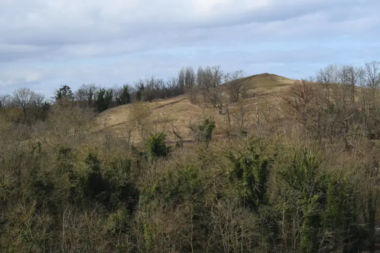 Blick auf Halle (Saale)