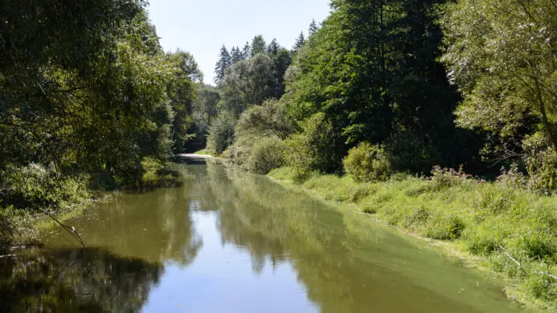 Ottensteiner Stausee - Ottensteiner Stausee Purzelkamp 20160904