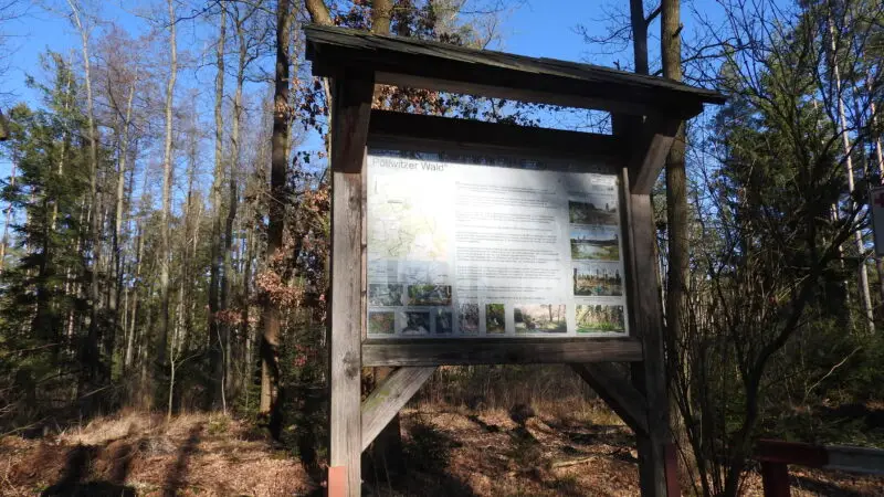 Pöllwitzer Wald (Rundwanderweg mit Moorerlebnispfad) - PC3B6llwitzer Wald 2