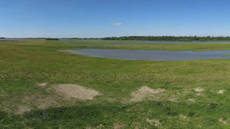 Katinger Watt (Naturschutzgebiet) - Panorama Katinger Watt