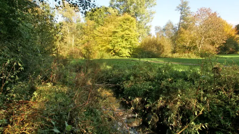 Alsterwanderweg (Abschnitt ab Poppenbüttel) - Pppenbuettel Minsbekkehrepark